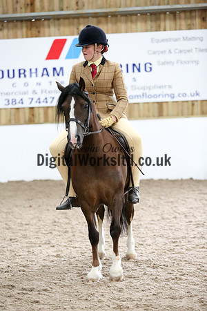 NECWPCA-SUMMER-WELSH-SILVER-MEDAL-SHOW (1 of 325)