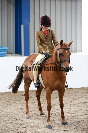 NECWPCA-SUMMER-WELSH-SILVER-MEDAL-SHOW (18 of 334)