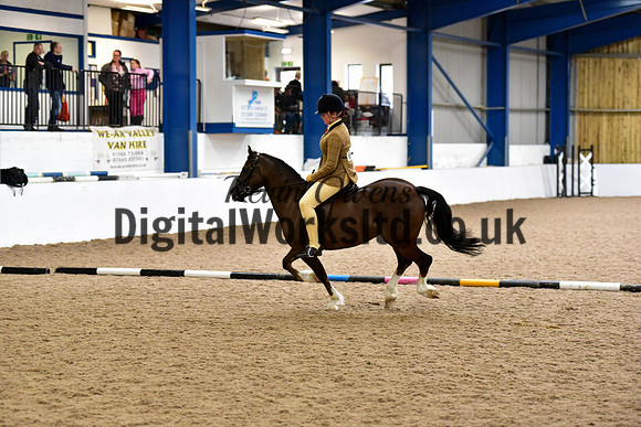 NECWPCA-SUMMER-WELSH-SILVER-MEDAL-SHOW (71 of 419)