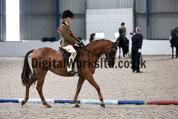 NECWPCA-SUMMER-WELSH-SILVER-MEDAL-SHOW (79 of 315)