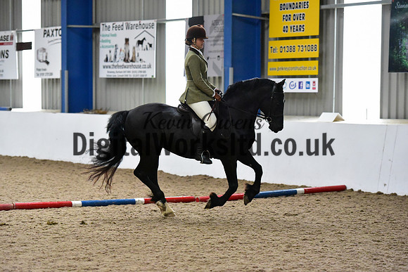 NECWPCA-SUMMER-WELSH-SILVER-MEDAL-SHOW (19 of 325)