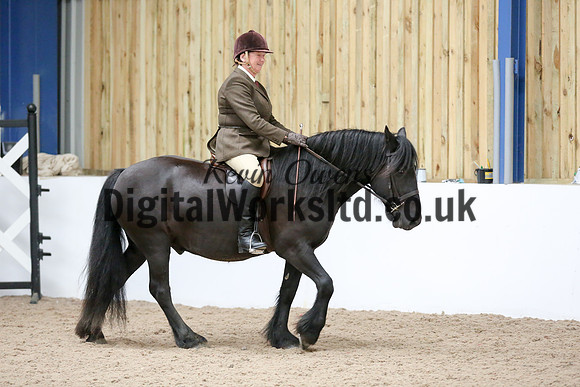NECWPCA-SUMMER-WELSH-SILVER-MEDAL-SHOW (25 of 419)