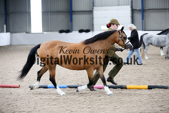NECWPCA-SUMMER-WELSH-SILVER-MEDAL-SHOW (37 of 427)