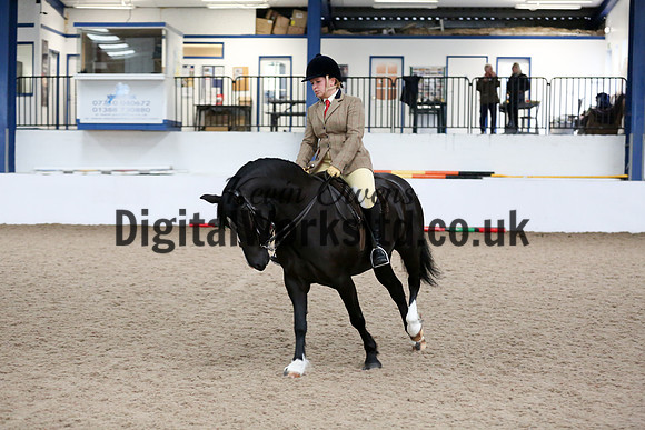 NECWPCA-SUMMER-WELSH-SILVER-MEDAL-SHOW (308 of 315)