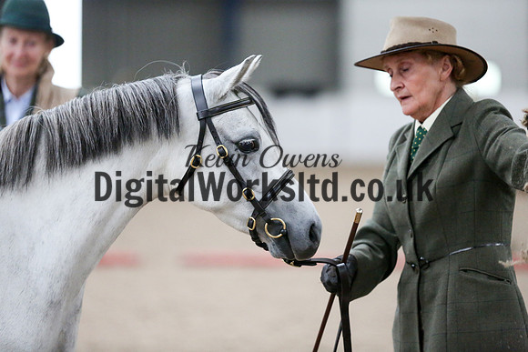 NECWPCA-SUMMER-WELSH-SILVER-MEDAL-SHOW (50 of 427)
