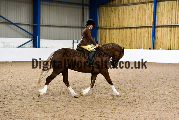NECWPCA-SUMMER-WELSH-SILVER-MEDAL-SHOW (6 of 92)