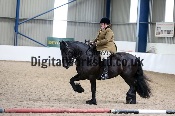 NECWPCA-SUMMER-WELSH-SILVER-MEDAL-SHOW (117 of 325)