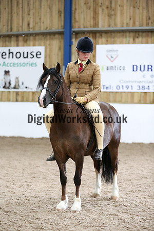 NECWPCA-SUMMER-WELSH-SILVER-MEDAL-SHOW (4 of 325)
