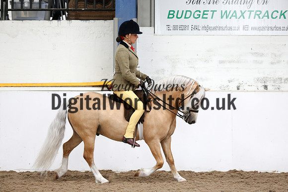 NECWPCA-SUMMER-WELSH-SILVER-MEDAL-SHOW (182 of 315)