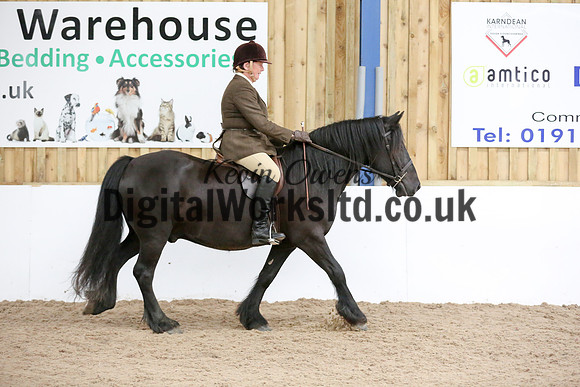 NECWPCA-SUMMER-WELSH-SILVER-MEDAL-SHOW (28 of 419)