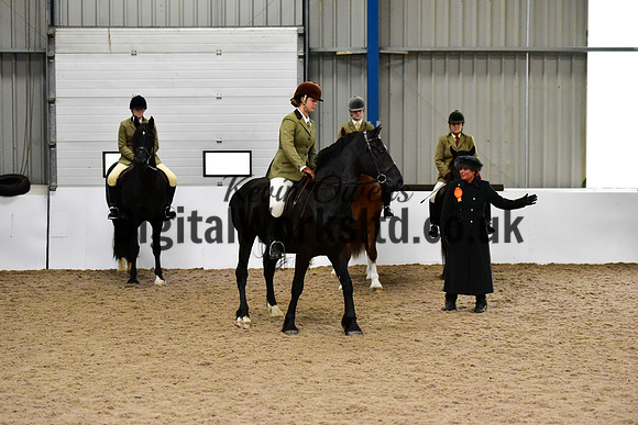 NECWPCA-SUMMER-WELSH-SILVER-MEDAL-SHOW (221 of 315)