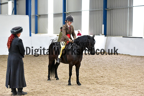 NECWPCA-SUMMER-WELSH-SILVER-MEDAL-SHOW (156 of 315)