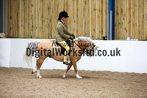 NECWPCA-SUMMER-WELSH-SILVER-MEDAL-SHOW (184 of 315)