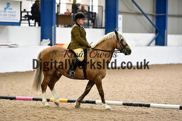 NECWPCA-SUMMER-WELSH-SILVER-MEDAL-SHOW (121 of 325)