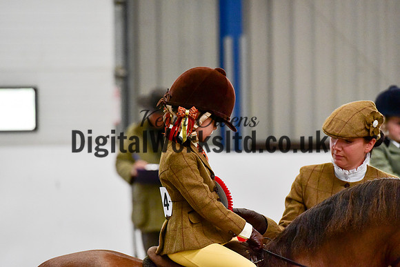 NECWPCA-SUMMER-WELSH-SILVER-MEDAL-SHOW (7 of 419)