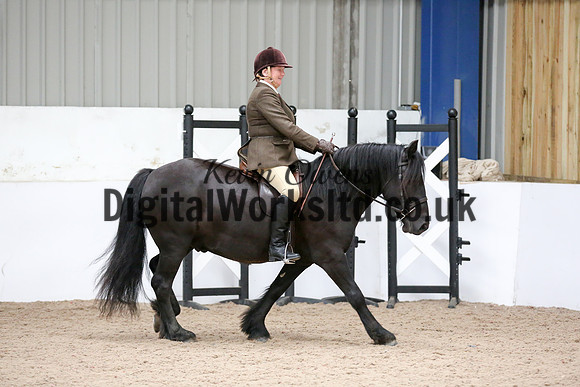NECWPCA-SUMMER-WELSH-SILVER-MEDAL-SHOW (4 of 334)