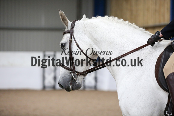 NECWPCA-SUMMER-WELSH-SILVER-MEDAL-SHOW (38 of 315)