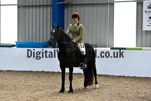 NECWPCA-SUMMER-WELSH-SILVER-MEDAL-SHOW (22 of 92)