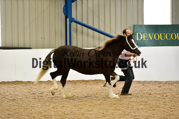 NECWPCA-SUMMER-WELSH-SILVER-MEDAL-SHOW (19 of 46)