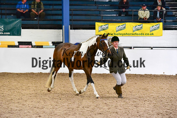 NECWPCA-SUMMER-WELSH-SILVER-MEDAL-SHOW (34 of 150)