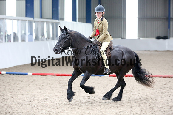 NECWPCA-SUMMER-WELSH-SILVER-MEDAL-SHOW (131 of 315)