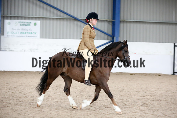 NECWPCA-SUMMER-WELSH-SILVER-MEDAL-SHOW (7 of 325)