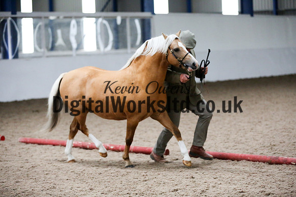 NECWPCA-SUMMER-WELSH-SILVER-MEDAL-SHOW (10 of 134)