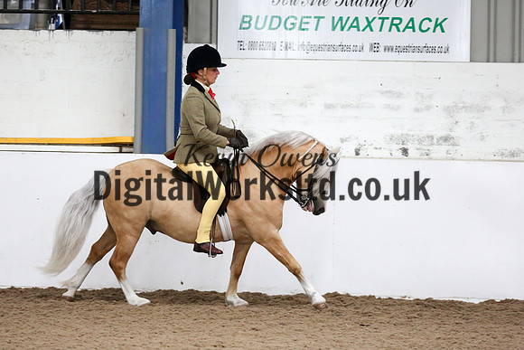 NECWPCA-SUMMER-WELSH-SILVER-MEDAL-SHOW (212 of 315)