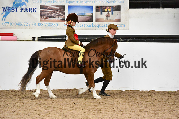 NECWPCA-SUMMER-WELSH-SILVER-MEDAL-SHOW (29 of 419)
