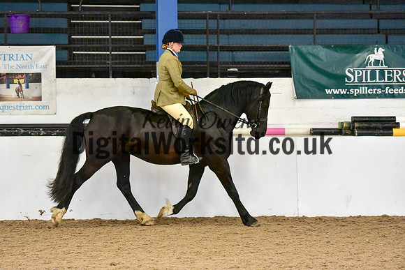 NECWPCA-SUMMER-WELSH-SILVER-MEDAL-SHOW (44 of 315)