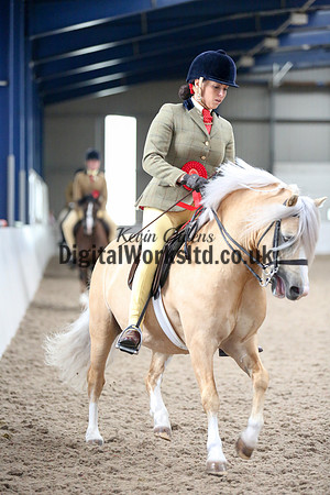 NECWPCA-SUMMER-WELSH-SILVER-MEDAL-SHOW (176 of 325)