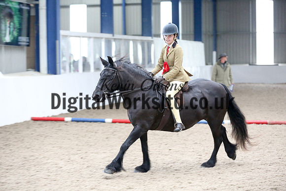 NECWPCA-SUMMER-WELSH-SILVER-MEDAL-SHOW (132 of 315)