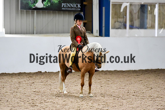 NECWPCA-SUMMER-WELSH-SILVER-MEDAL-SHOW (82 of 92)