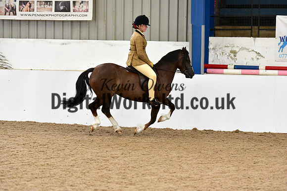 NECWPCA-SUMMER-WELSH-SILVER-MEDAL-SHOW (68 of 419)