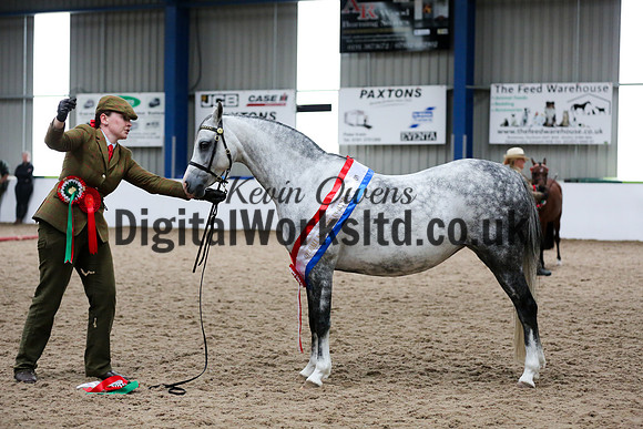 NECWPCA-SUMMER-WELSH-SILVER-MEDAL-SHOW (2 of 159)