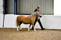 NECWPCA-SUMMER-WELSH-SILVER-MEDAL-SHOW (7 of 412)