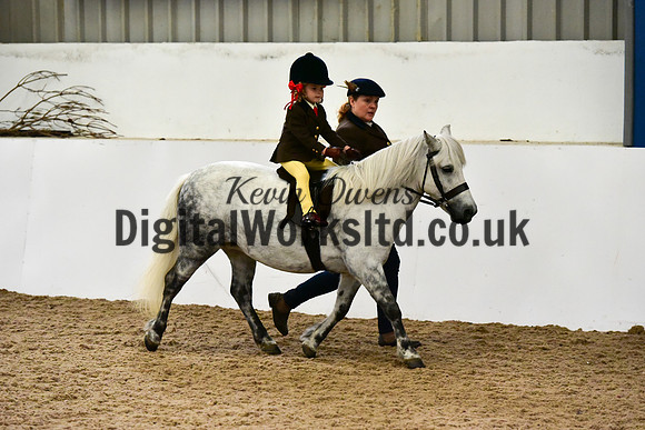 NECWPCA-SUMMER-WELSH-SILVER-MEDAL-SHOW (2 of 135)
