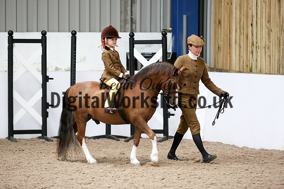 NECWPCA-SUMMER-WELSH-SILVER-MEDAL-SHOW (86 of 325)