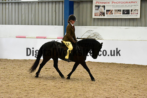 NECWPCA-SUMMER-WELSH-SILVER-MEDAL-SHOW (303 of 315)