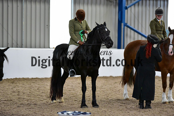 NECWPCA-SUMMER-WELSH-SILVER-MEDAL-SHOW (245 of 315)