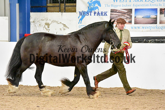 NECWPCA-SUMMER-WELSH-SILVER-MEDAL-SHOW (11 of 150)