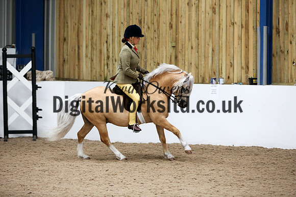 NECWPCA-SUMMER-WELSH-SILVER-MEDAL-SHOW (183 of 315)