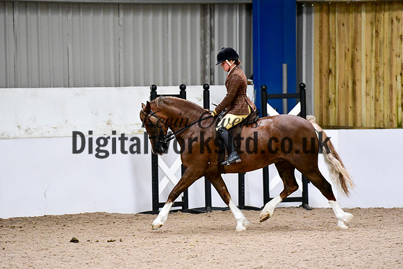 NECWPCA-SUMMER-WELSH-SILVER-MEDAL-SHOW (3 of 92)