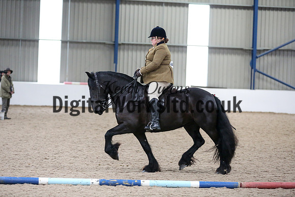 NECWPCA-SUMMER-WELSH-SILVER-MEDAL-SHOW (120 of 325)