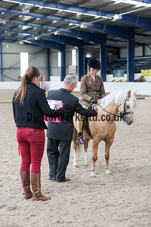 NECWPCA-SUMMER-WELSH-SILVER-MEDAL-SHOW (47 of 325)