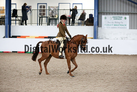 NECWPCA-SUMMER-WELSH-SILVER-MEDAL-SHOW (72 of 325)