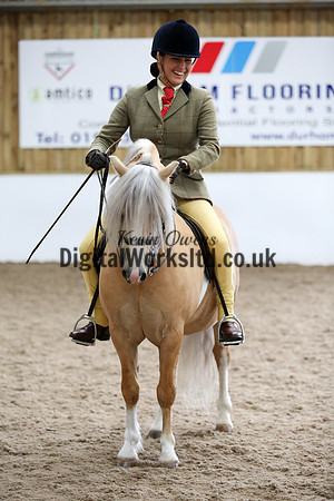 NECWPCA-SUMMER-WELSH-SILVER-MEDAL-SHOW (219 of 315)