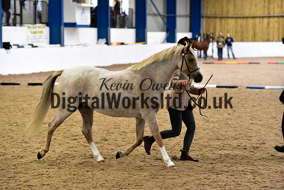 NECWPCA-SUMMER-WELSH-SILVER-MEDAL-SHOW (33 of 61)