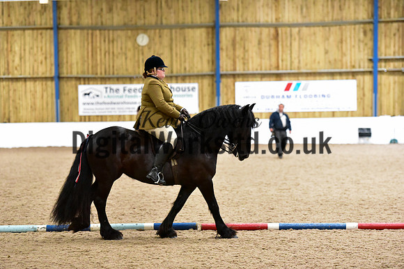 NECWPCA-SUMMER-WELSH-SILVER-MEDAL-SHOW (115 of 325)