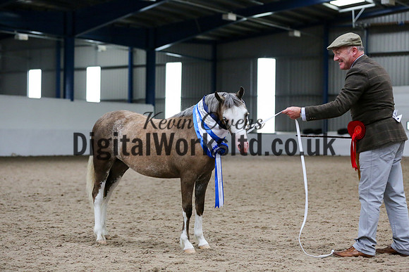 NECWPCA-SUMMER-WELSH-SILVER-MEDAL-SHOW (12 of 159)
